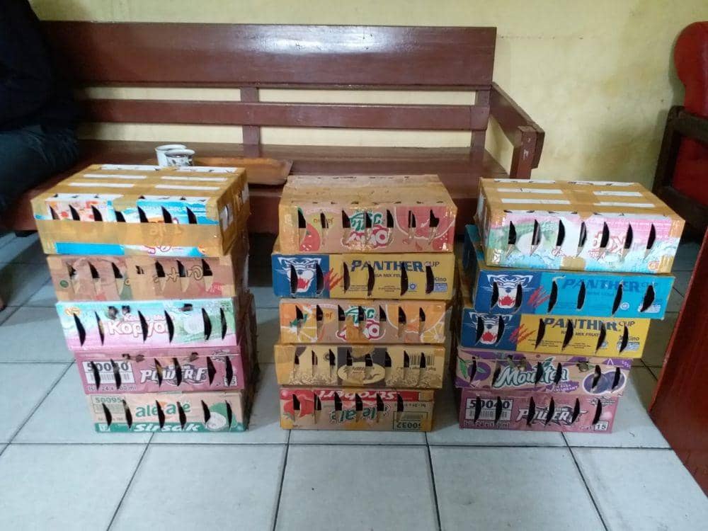 KSKP Pelabuhan Bakauheni berhasil mengamankan sebanyak 2.159 ekor burung tanpa kelengkapan dokumen. (IDN Times/Istimewa)