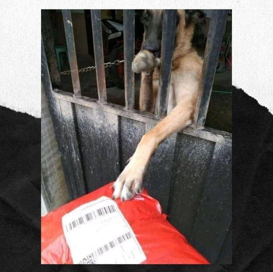 momen tak terduga dialami kurir (instagram.com/newdramaolshop)