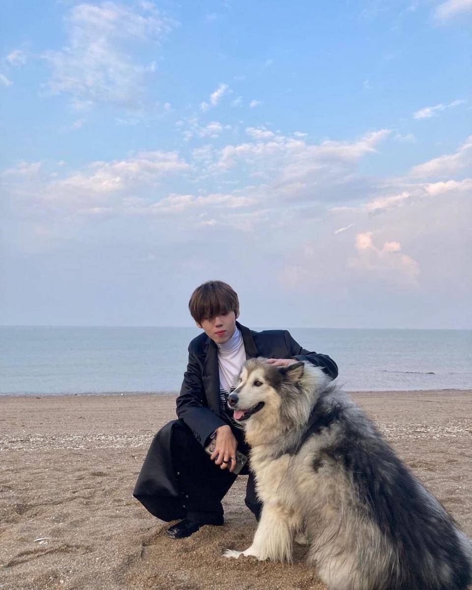 Gaho (instagram.com/ad_gaho)