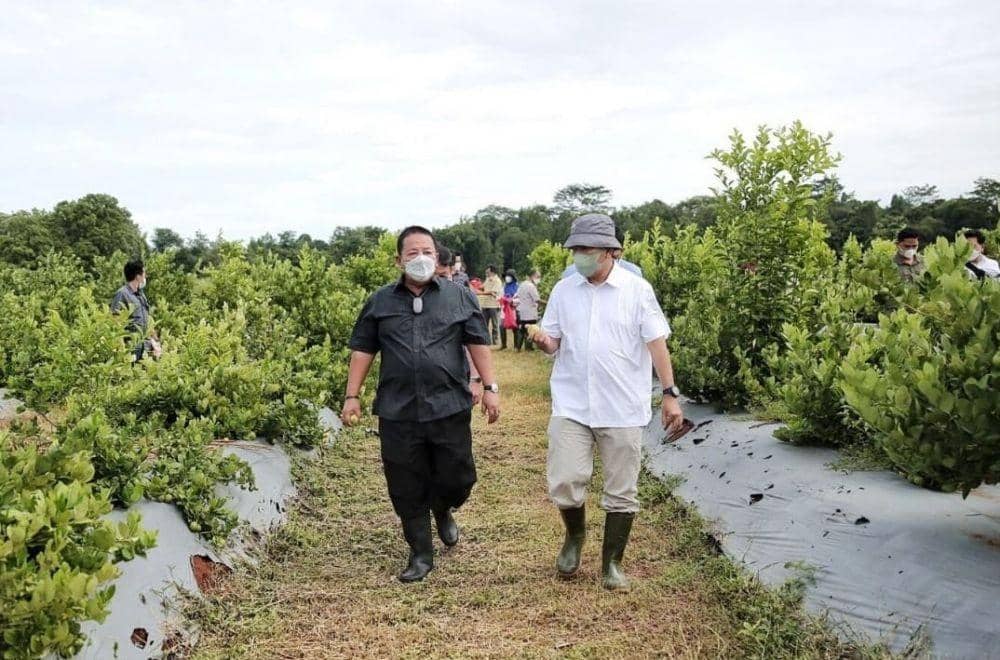 Gubernur Lampung Arinal Djunaidi kunjungan kerja ke Cisaat Precision Agriculture Farm, Jawa Barat, Senin (21/11/2021). (IDN Times/Istimewa).