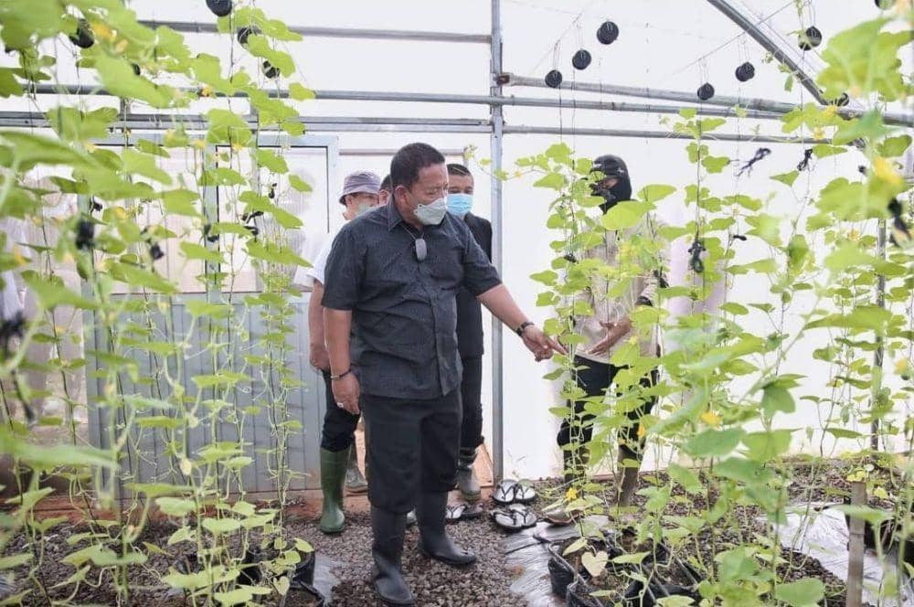 Gubernur Lampung Arinal Djunaidi kunjungan kerja ke Cisaat Precision Agriculture Farm, Jawa Barat, Senin (21/11/2021). (IDN Times/Istimewa).