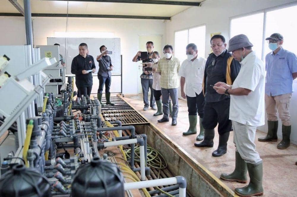 Gubernur Lampung Arinal Djunaidi kunjungan kerja ke Cisaat Precision Agriculture Farm, Jawa Barat, Senin (21/11/2021). (IDN Times/Istimewa).