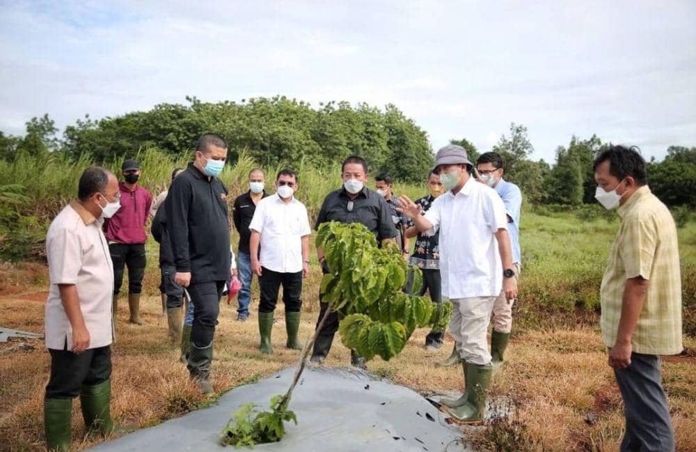 Gubernur Lampung Arinal Djunaidi kunjungan kerja ke Cisaat Precision Agriculture Farm, Jawa Barat, Senin (21/11/2021). (IDN Times/Istimewa).
