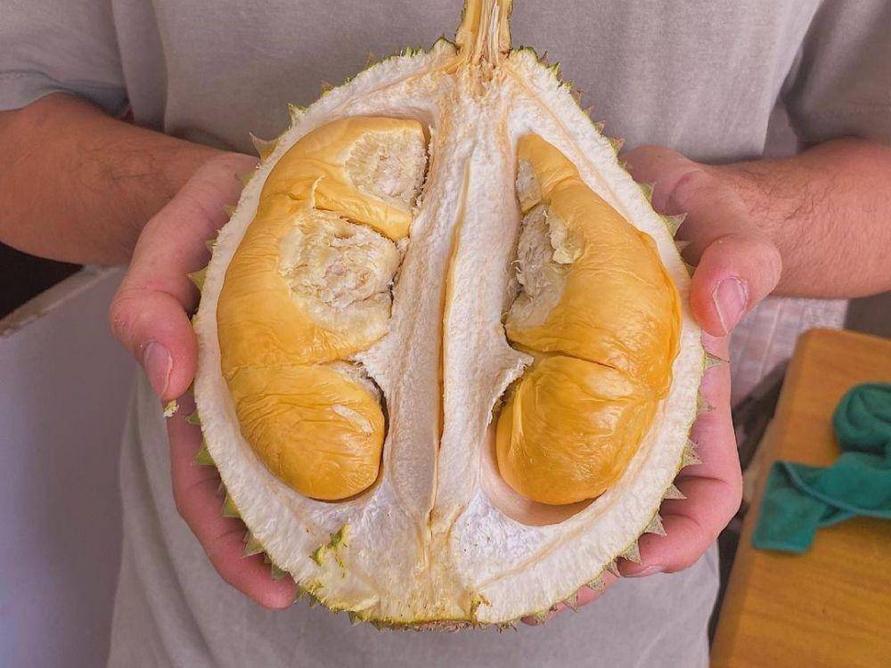 Penang Ah Teik Durian (instagram.com/ahteikdurian)