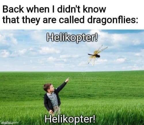 facebook.com/Umar Liaqat