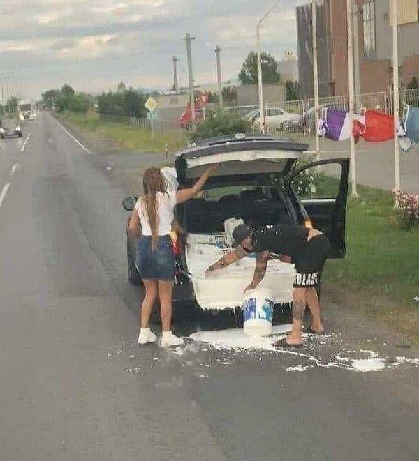 apes naik mobil (izismile.com)