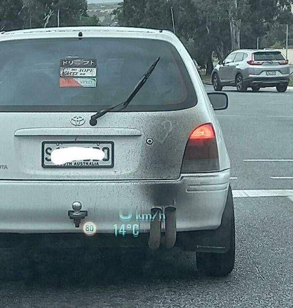 apes naik mobil (izismile.com)