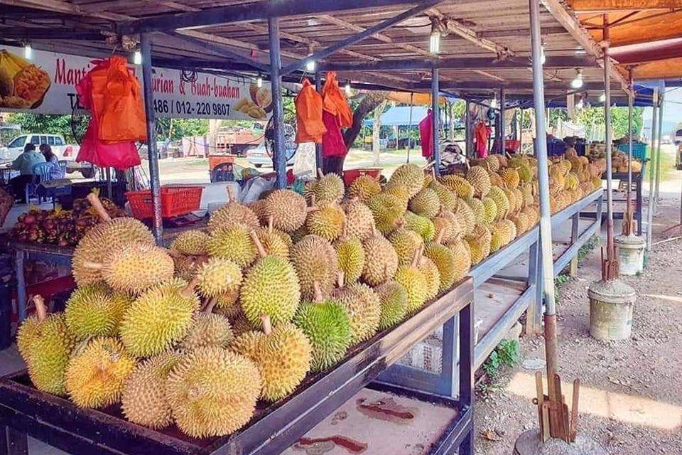 Durian Gemuk Mantin (instagram.com/ahmad.faisal.aljunied)
