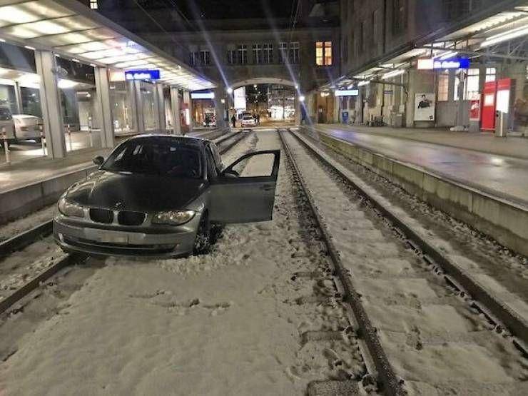 apes naik mobil (izismile.com)