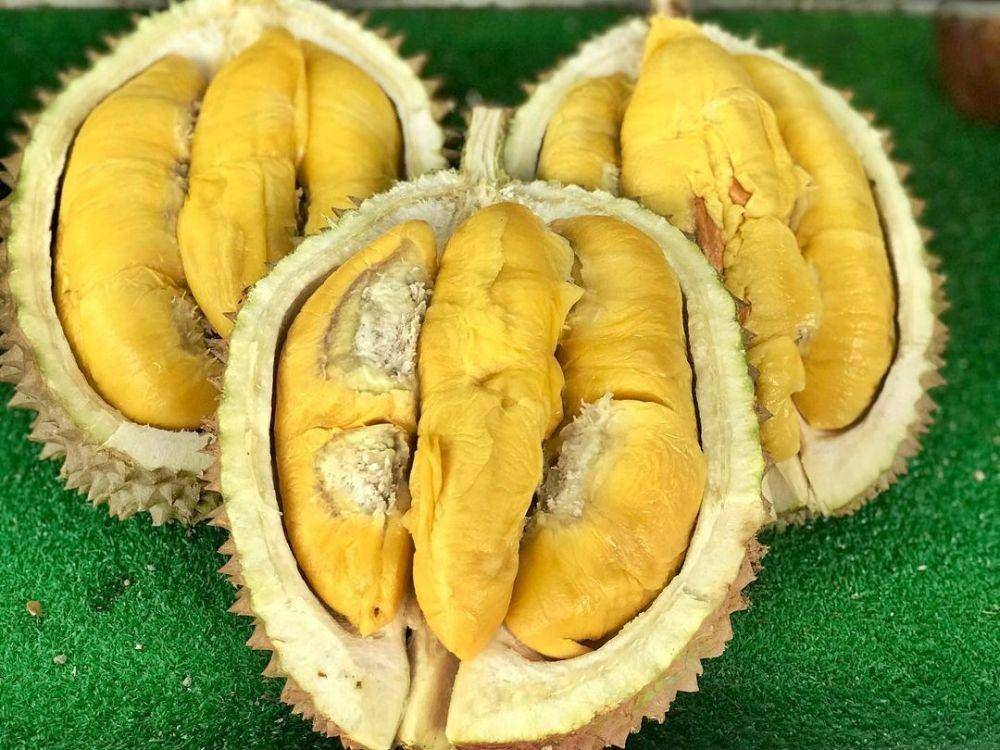 Durian Central Macalister (instagram.com/istigfarin)
