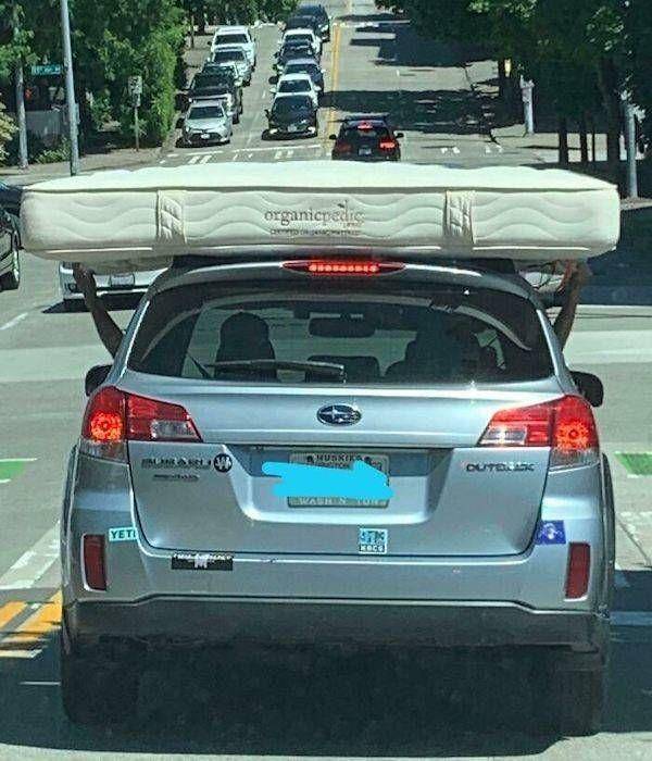 apes naik mobil (izismile.com)
