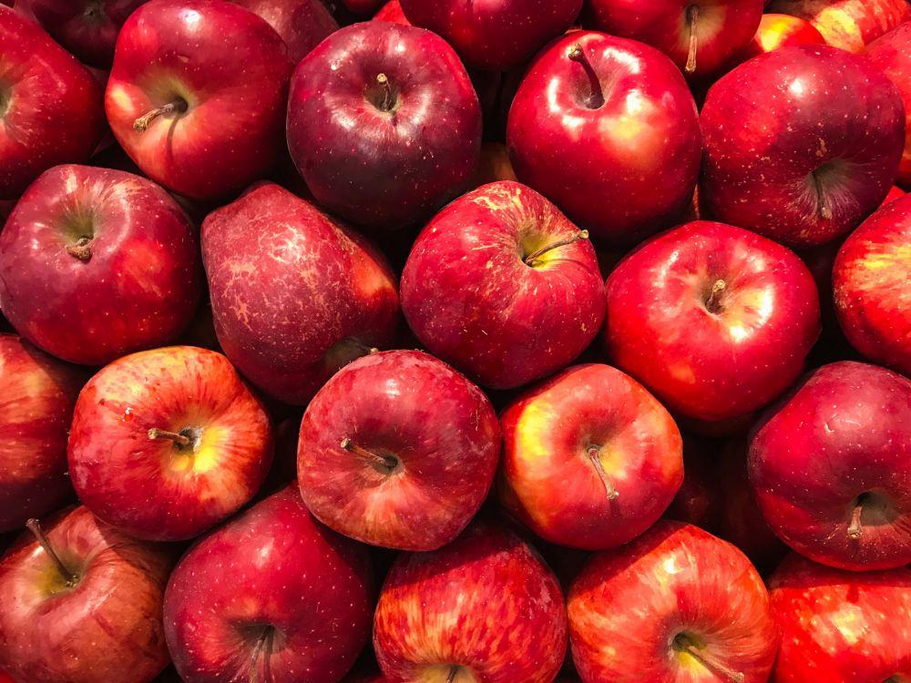 foto buah apel (unsplash.com/cenali)