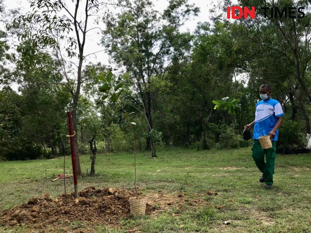 Koleksi Kardus Bekas Dapat 1.000 Pohon, Untuk Lahan Kritis di Rembang
