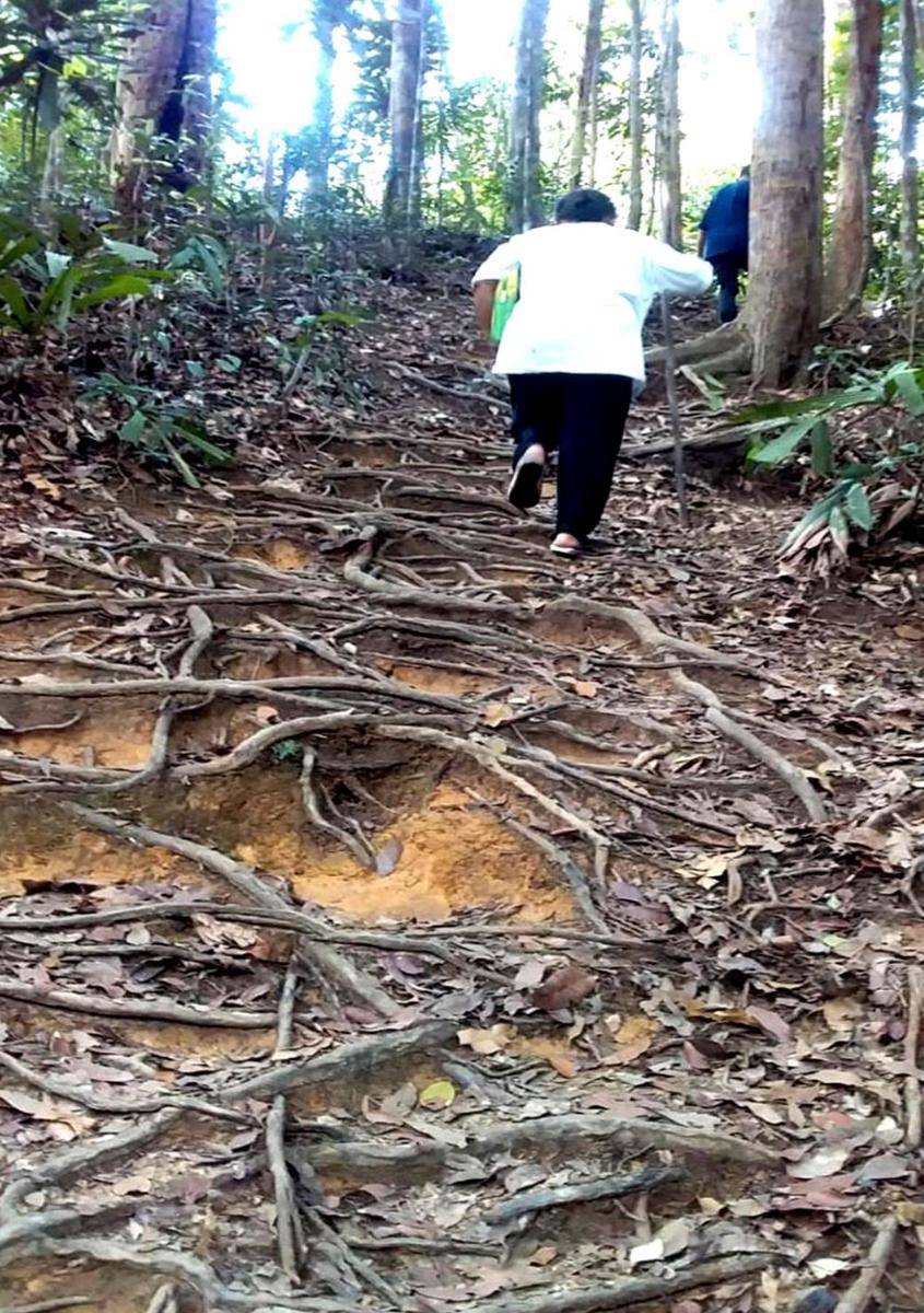 naik bukit dengan tangga akar pohon (dok. pribadi/Yvonie OH)