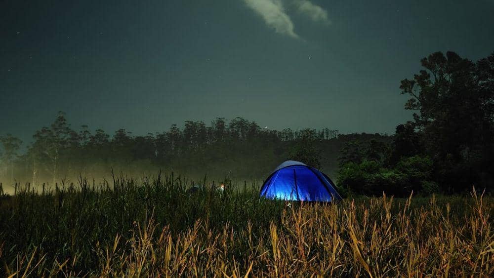 tempat wisata ranca upas (rancaupas.business.site)