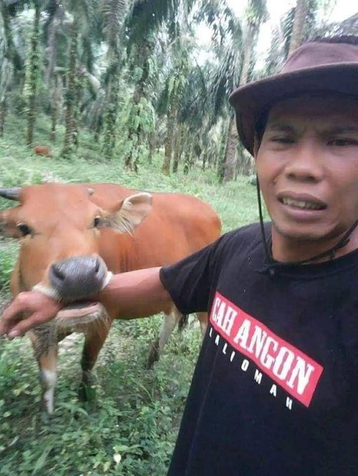 orang dikejar hewan (twitter.com/calciverr)