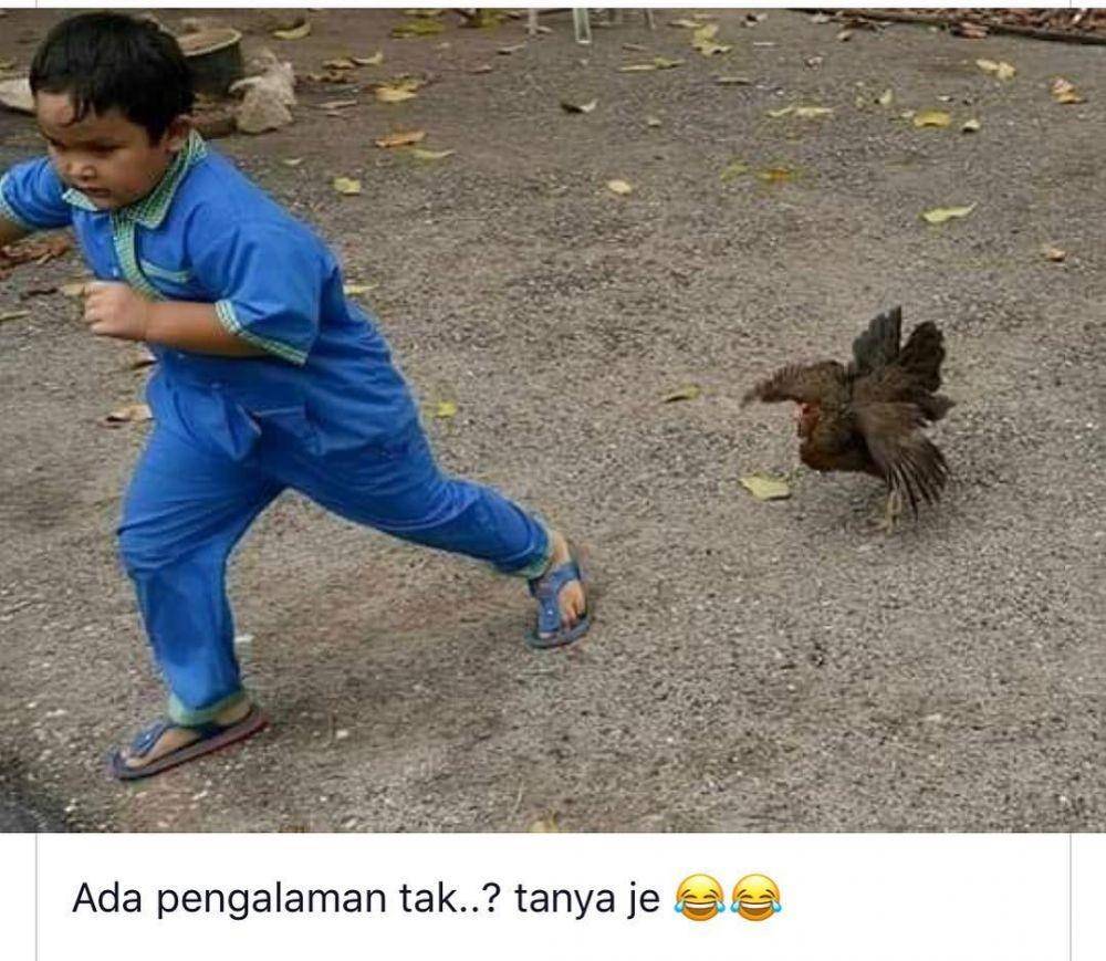 orang dikejar hewan (facebook.com/erasabah)