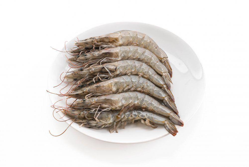ilustrasi udang (freepik.com/topntp26)