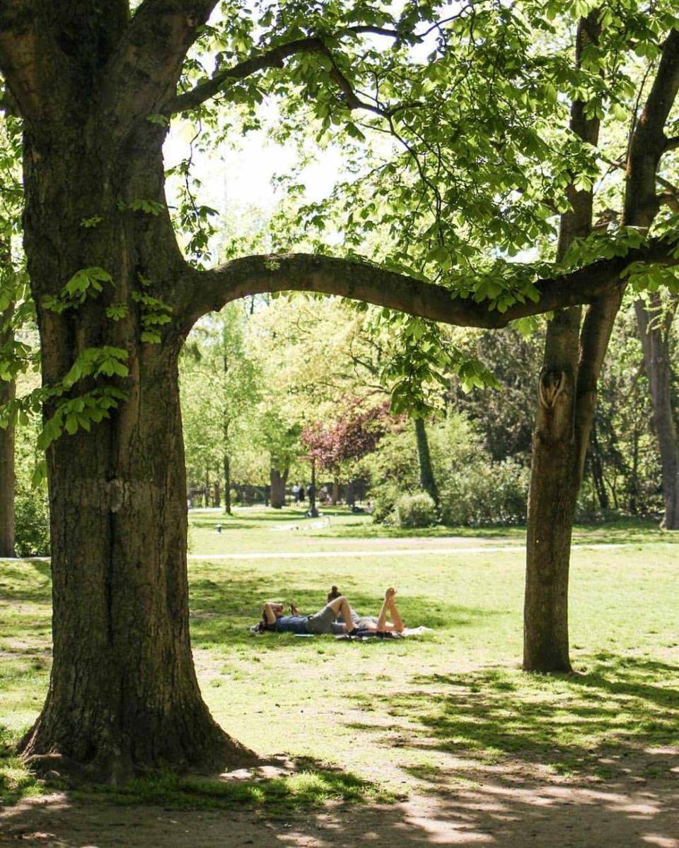 Volkspark Friedrichshain (instagram.com/greencoattales)