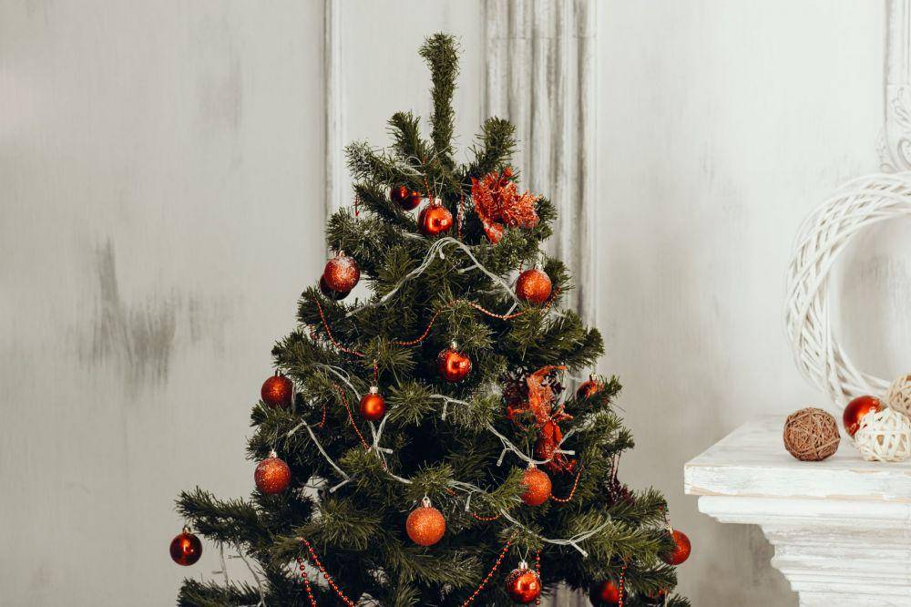 ilustrasi pohon natal (pexels.com/Iryna Kostsenich)