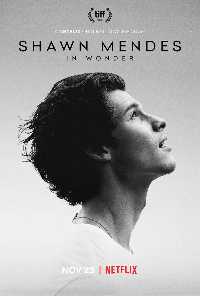 Shawn Mendes (twitter.com/NetflixFilm)