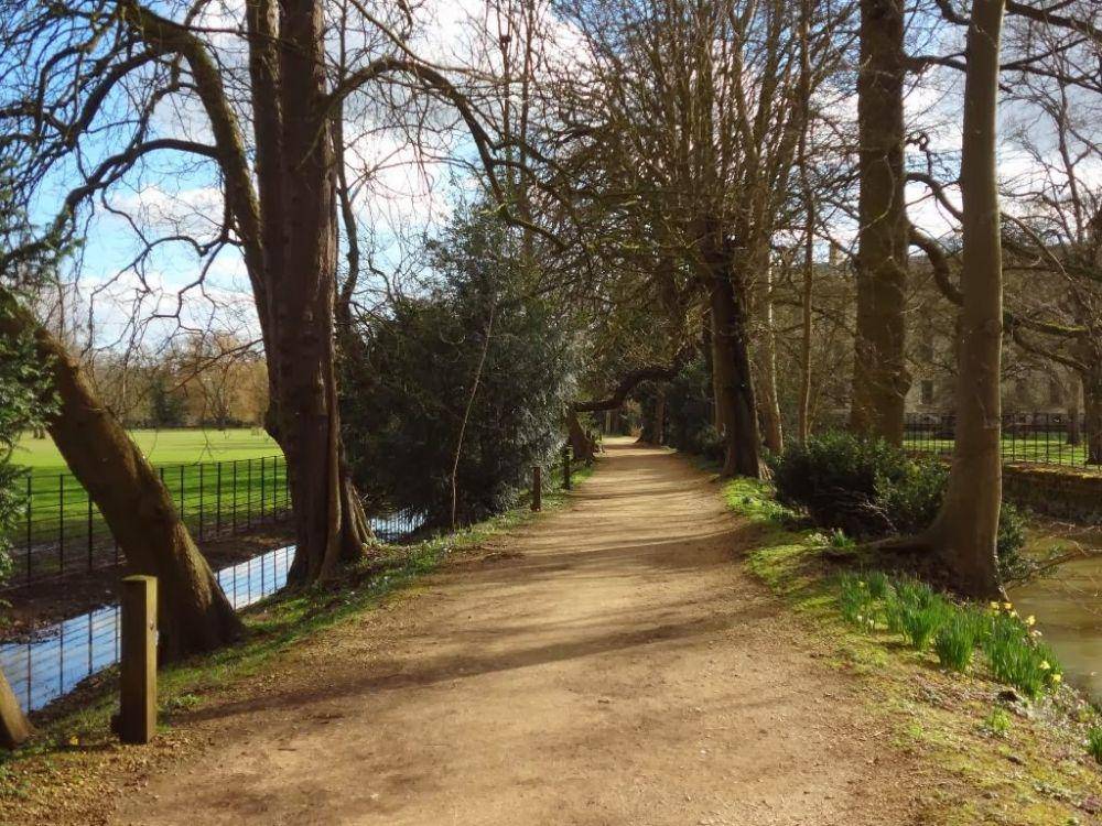 jalan Addison's di halaman Magdalen College di University of Oxford (thegospelcoalition.org)