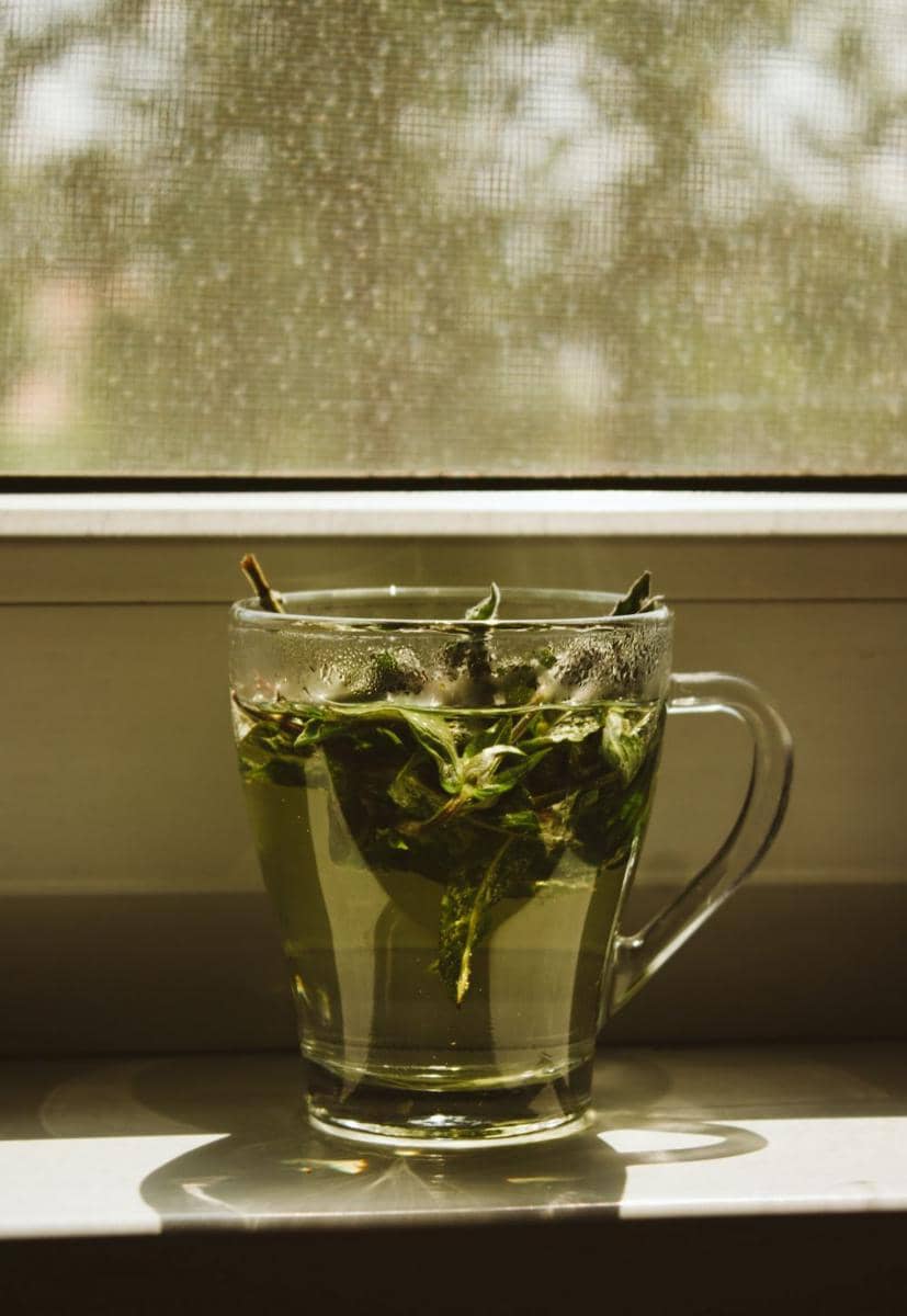 ilustrasi peppermint tisane (unsplash.com/thesollers)