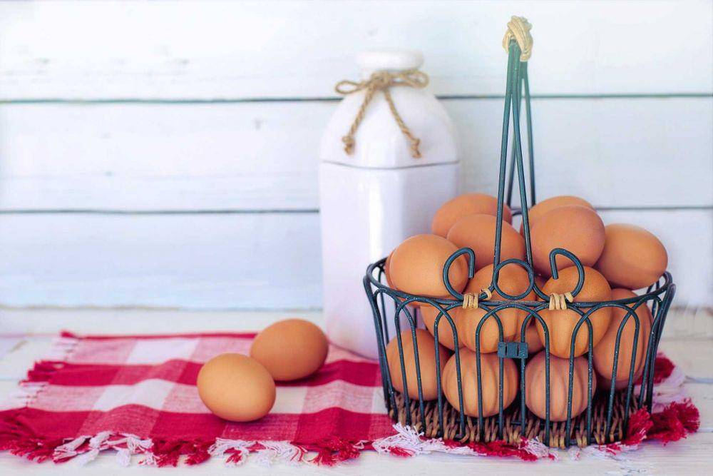 ilustrasi telur ayam (pixabay.com/JillWellington)