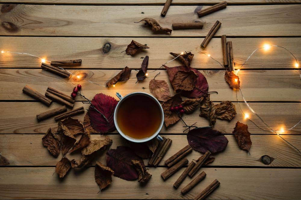 ilustrasi tisane kayu manis (unsplash.com/JoannaJ)