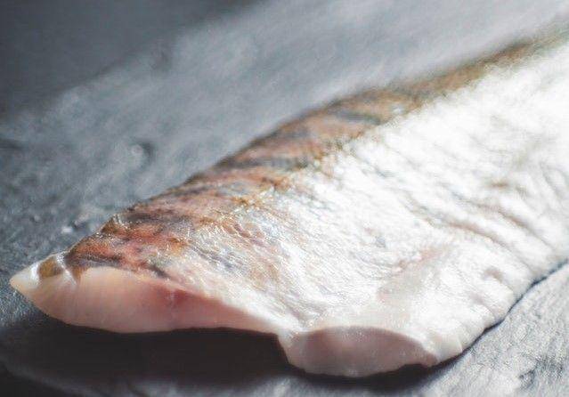 ilustrasi ikan (Pexels.com/Markus Spiske)