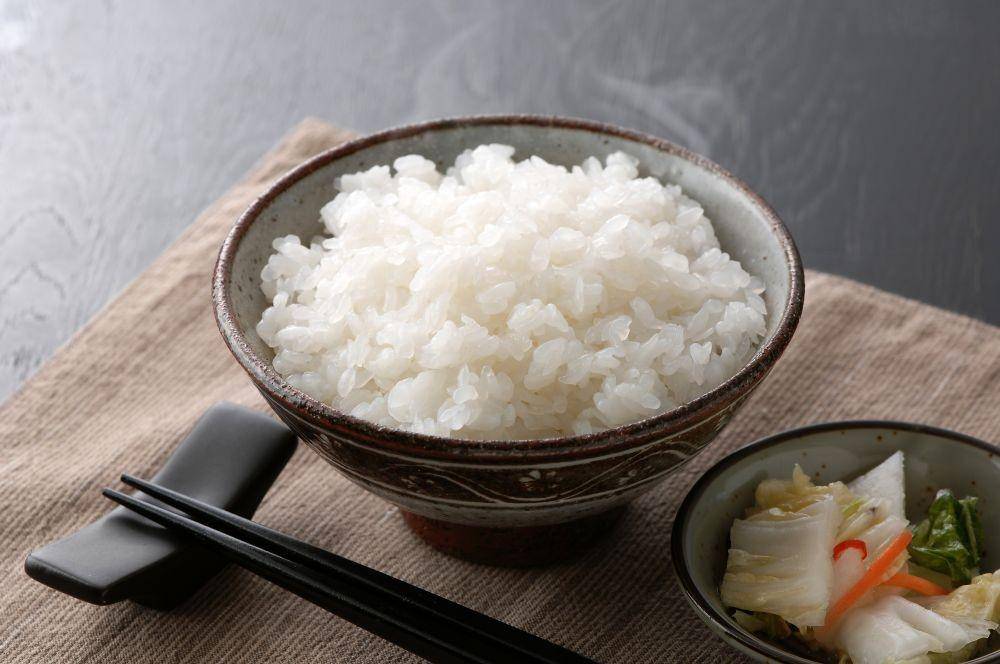 nasi shirataki (e-konnyaku.com)