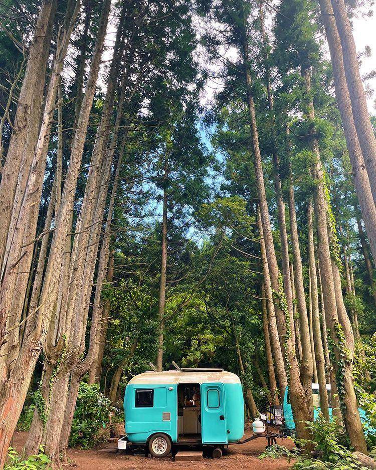 potret Jeju Secret Forest (instagram.com/jessrosepark)