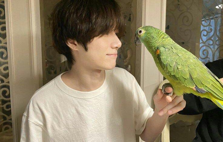 Beomgyu dan Toto (Koreaboo.com)