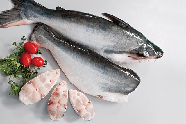 ilustrasi ikan patin (tbesfood.com)