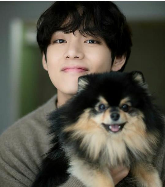 V BTS (instagram.com/btsofficial__73/)
