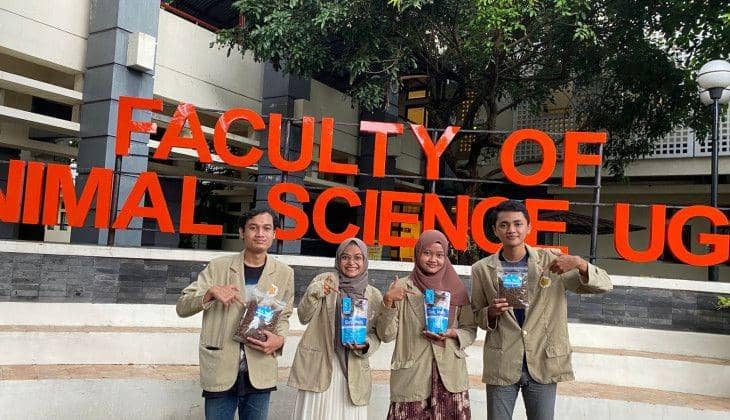 Mahasiwa UGM Sulap Belatung Menjadi Bahan Makanan Kucing