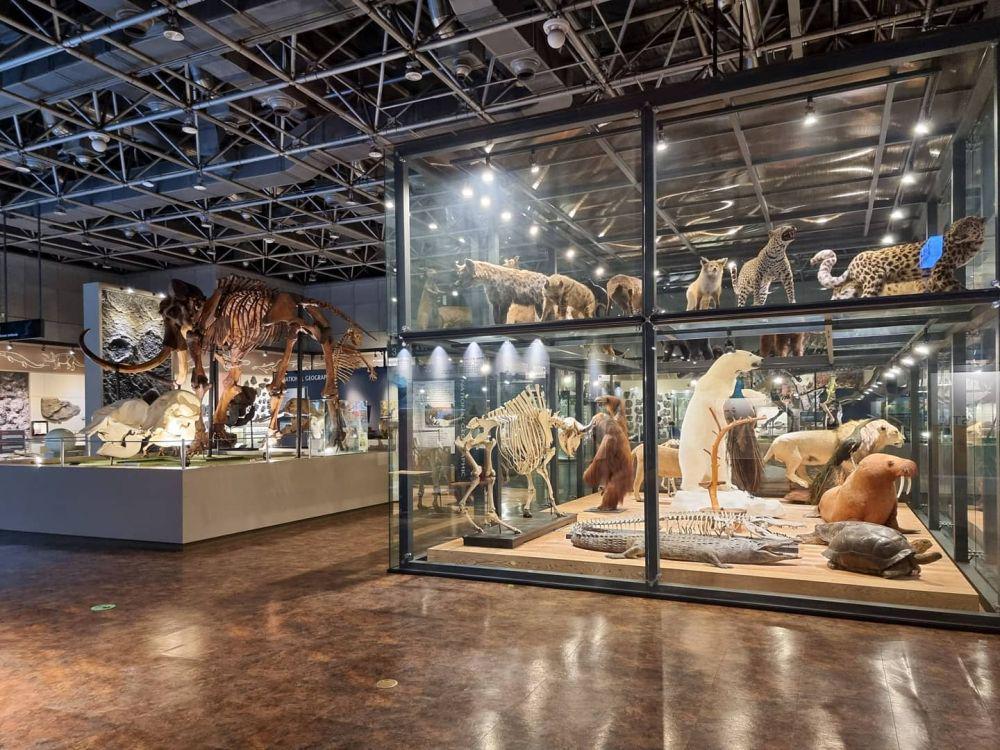 Museum Sains Nasional (instagram.com/cmpark39)