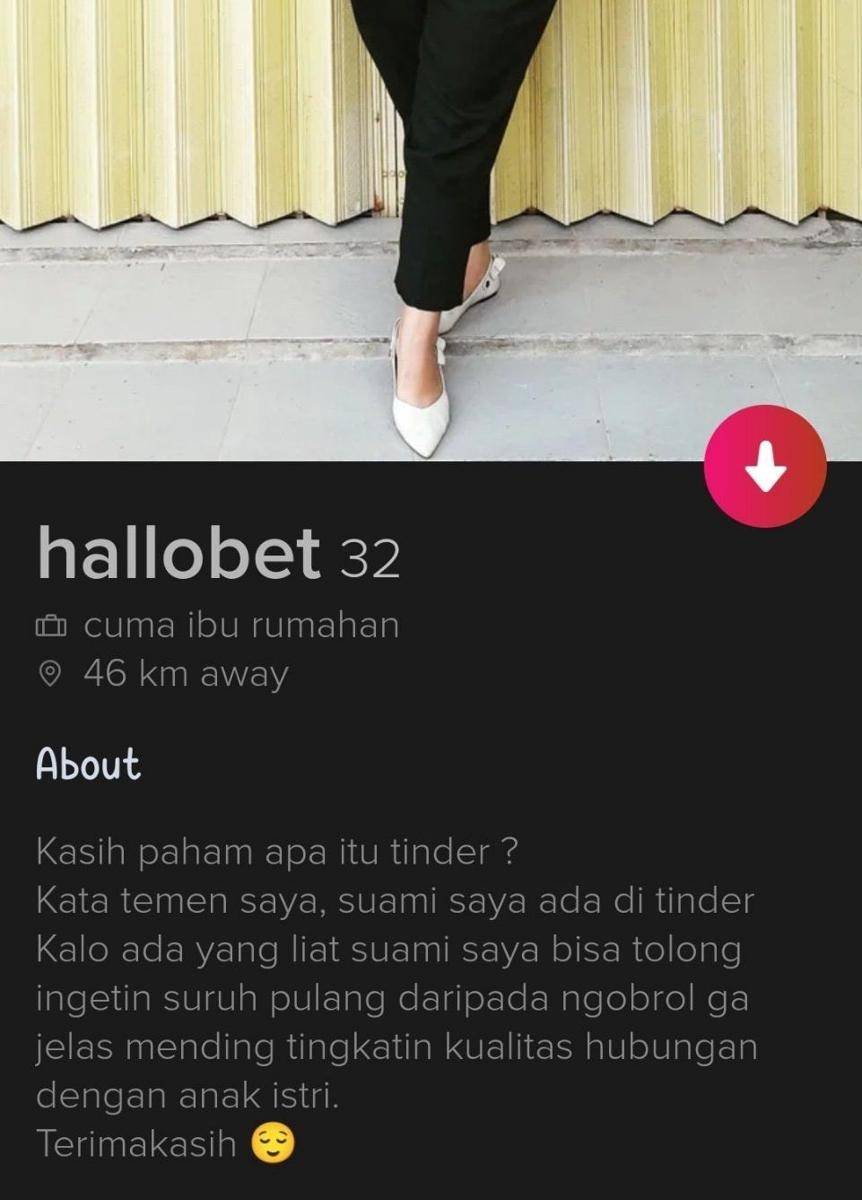 bio profil Tinder kocak (twitter.com/bertinder)