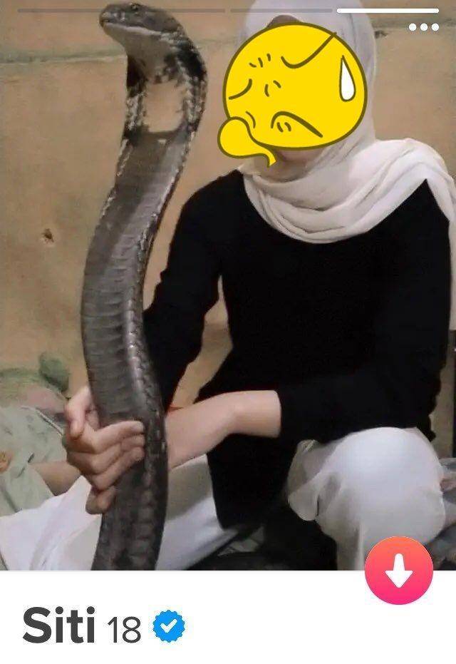 bio profil Tinder kocak (twitter.com/bertinder)