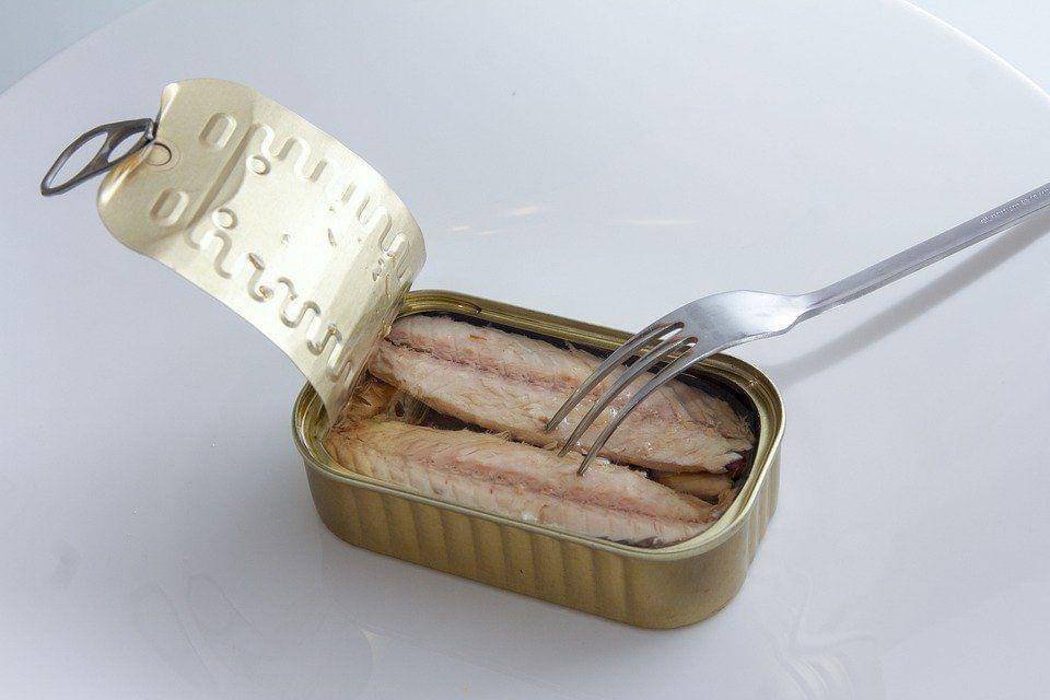 Ilustrasi makanan kaleng (pixabay.com/primorske)