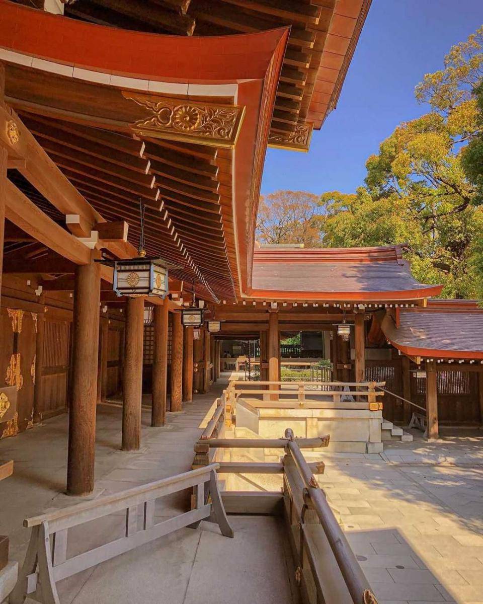 Meiji Shrine (instagram.com/shotzzzbymagic)