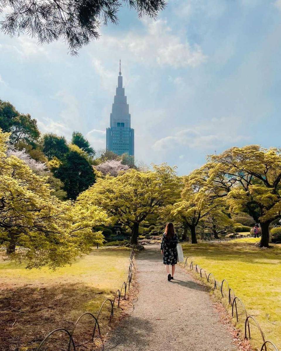 Shinjuku Gyoen National Park (instagram.com/i_am_marina0126)