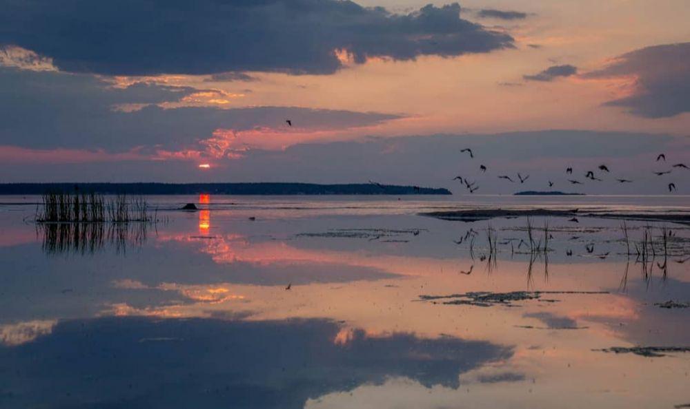 5 Destinasi Pantai di Estonia, Pesonanya Bikin Tak Berkedip!