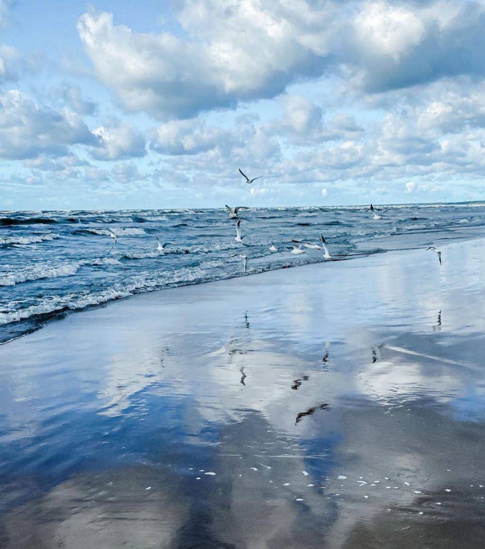 Pantai Narva-Joesuu (instagram.com/maroossya)