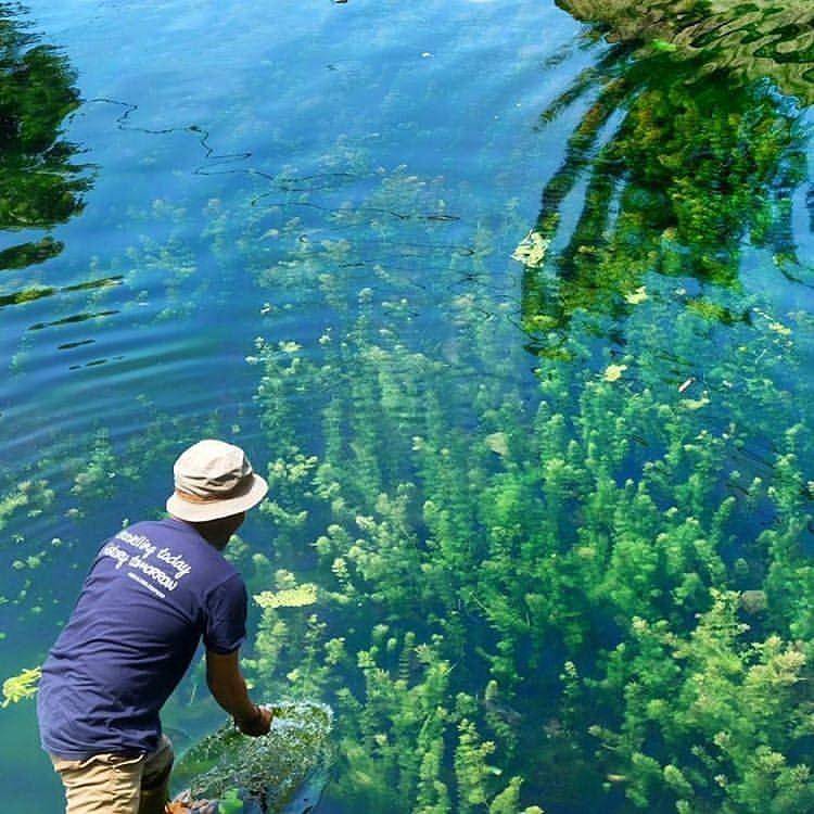 Dam Margo Tirto Gisting Kabupaten Tanggamus. (instagram.com/masteguh78).