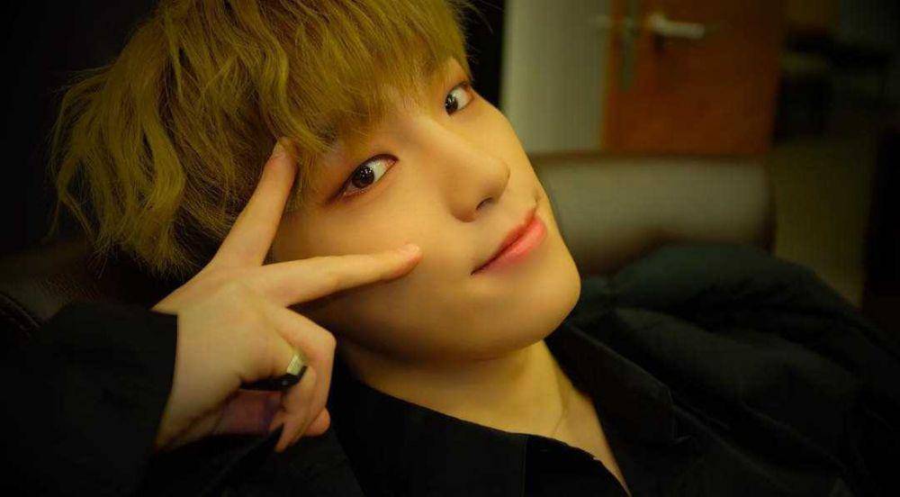 Dino SEVENTEEN (instagram.com/saythename_17)