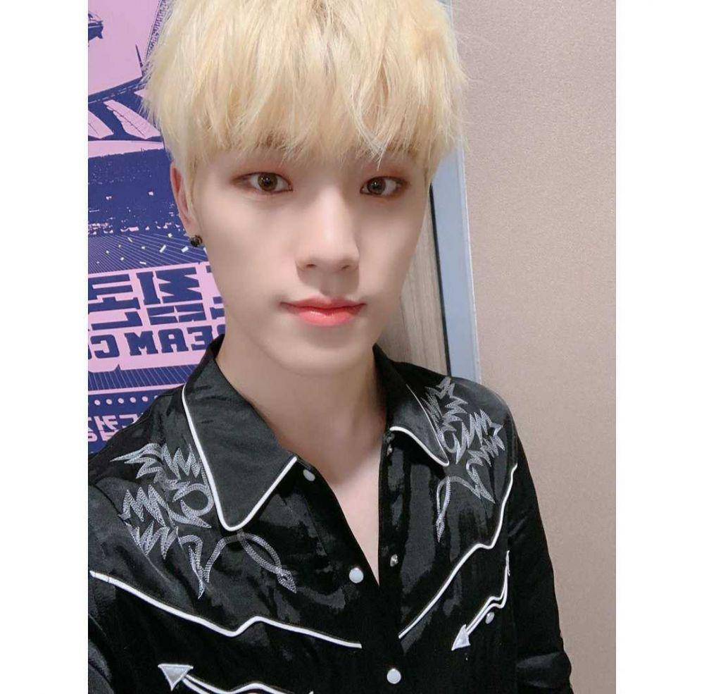 Dino SEVENTEEN (instagram.com/saythename_17)