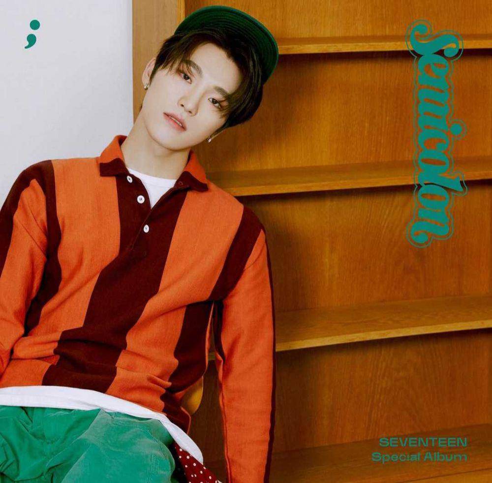 Dino SEVENTEEN (instagram.com/saythename_17)