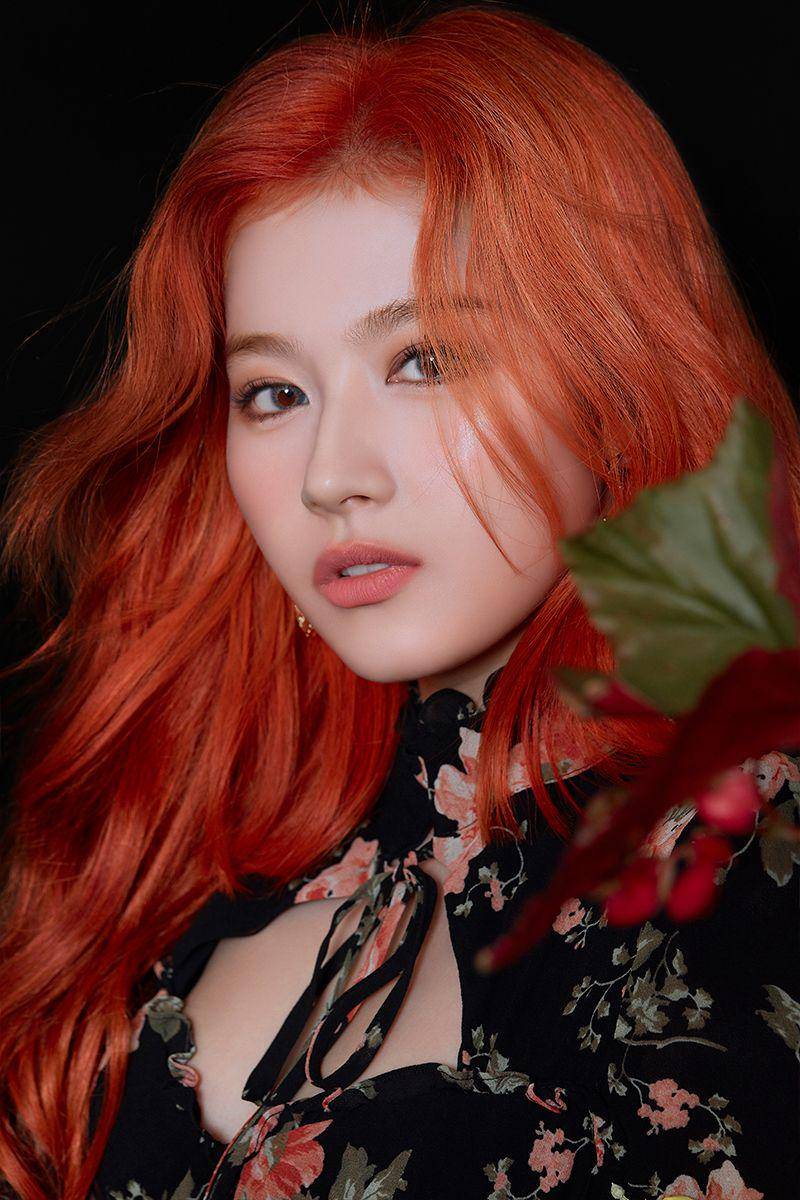 Sana TWICE (dok. JYP Entertainment)