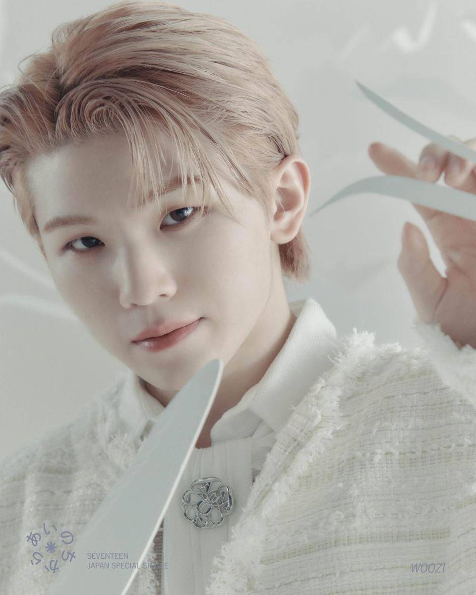 Woozi SEVENTEEN (twitter.com/pledis_17)